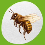 مكافحة النحل