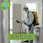 الشركة الالمانية للحشرات في الدقي